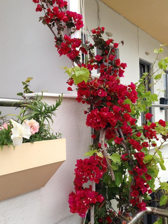 Zefyros Hotel Rhodes City 외부 사진